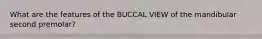 What are the features of the BUCCAL VIEW of the mandibular second premolar?