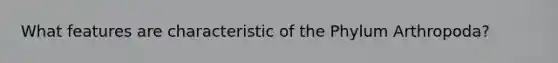 What features are characteristic of the Phylum Arthropoda?