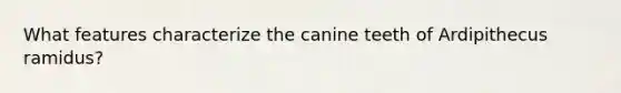 What features characterize the canine teeth of Ardipithecus ramidus?