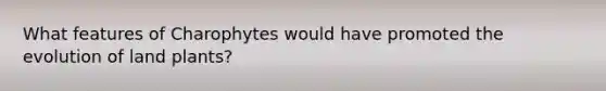 What features of Charophytes would have promoted the evolution of land plants?