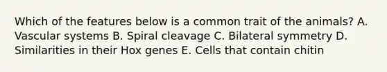 Which of the features below is a common trait of the animals? A. Vascular systems B. Spiral cleavage C. Bilateral symmetry D. Similarities in their Hox genes E. Cells that contain chitin