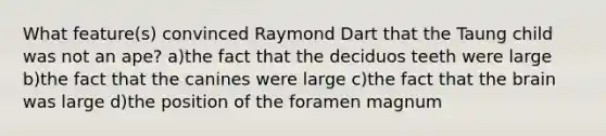 What feature(s) convinced Raymond Dart that the Taung child was not an ape? a)the fact that the deciduos teeth were large b)the fact that the canines were large c)the fact that the brain was large d)the position of the foramen magnum