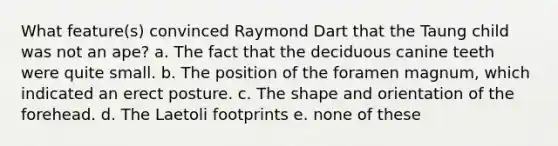 What feature(s) convinced Raymond Dart that the Taung child was not an ape? a. The fact that the deciduous canine teeth were quite small. b. The position of the foramen magnum, which indicated an erect posture. c. The shape and orientation of the forehead. d. The Laetoli footprints e. none of these