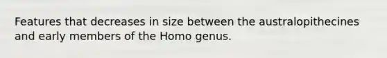 Features that decreases in size between the australopithecines and early members of the Homo genus.