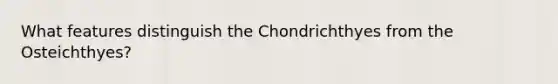 What features distinguish the Chondrichthyes from the Osteichthyes?