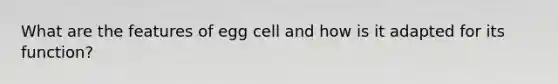 What are the features of egg cell and how is it adapted for its function?