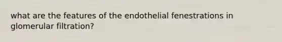 what are the features of the endothelial fenestrations in glomerular filtration?