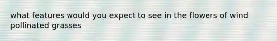 what features would you expect to see in the flowers of wind pollinated grasses