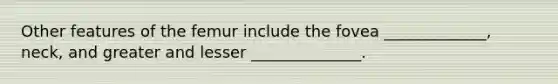Other features of the femur include the fovea _____________, neck, and greater and lesser ______________.
