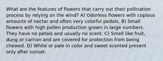 What are the features of flowers that carry out their pollination process by relying on the wind? A) Odorless flowers with copious amounts of nectar and often very colorful pedals. B) Small flowers with high pollen production grown in large numbers. They have no petals and usually no scent. C) Smell like fruit, dung or carrion and are covered for protection from being chewed. D) White or pale in color and sweet scented present only after sunset.