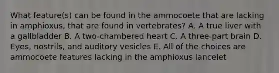 What feature(s) can be found in the ammocoete that are lacking in amphioxus, that are found in vertebrates? A. A true liver with a gallbladder B. A two-chambered heart C. A three-part brain D. Eyes, nostrils, and auditory vesicles E. All of the choices are ammocoete features lacking in the amphioxus lancelet