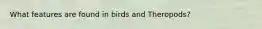 What features are found in birds and Theropods?