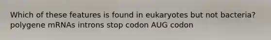 Which of these features is found in eukaryotes but not bacteria? polygene mRNAs introns stop codon AUG codon