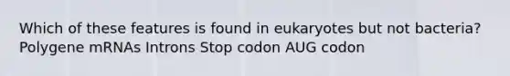 Which of these features is found in eukaryotes but not bacteria? Polygene mRNAs Introns Stop codon AUG codon