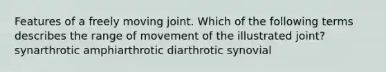 Features of a freely moving joint. Which of the following terms describes the range of movement of the illustrated joint? synarthrotic amphiarthrotic diarthrotic synovial