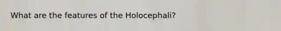 What are the features of the Holocephali?