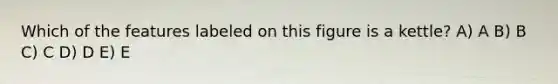 Which of the features labeled on this figure is a kettle? A) A B) B C) C D) D E) E
