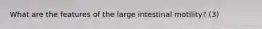 What are the features of the large intestinal motility? (3)