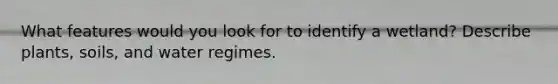 What features would you look for to identify a wetland? Describe plants, soils, and water regimes.