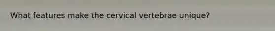 What features make the cervical vertebrae unique?