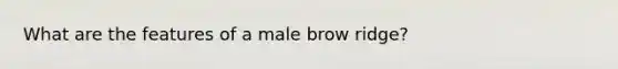 What are the features of a male brow ridge?