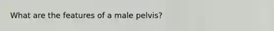 What are the features of a male pelvis?