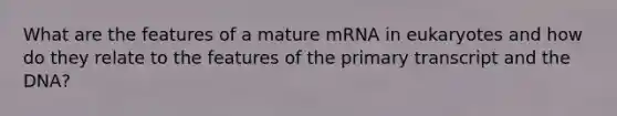 What are the features of a mature mRNA in eukaryotes and how do they relate to the features of the primary transcript and the DNA?