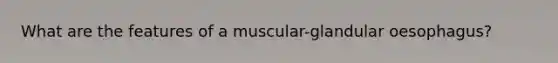 What are the features of a muscular-glandular oesophagus?