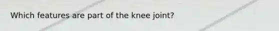 Which features are part of the knee joint?