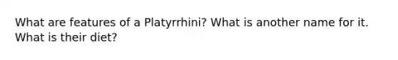 What are features of a Platyrrhini? What is another name for it. What is their diet?