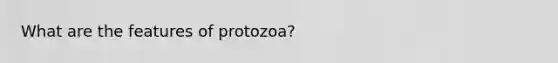 What are the features of protozoa?