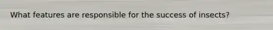 What features are responsible for the success of insects?