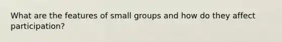 What are the features of small groups and how do they affect participation?