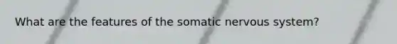 What are the features of the somatic nervous system?