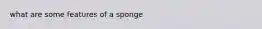 what are some features of a sponge