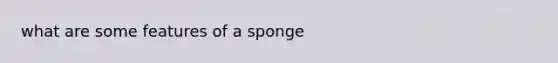 what are some features of a sponge