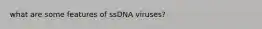 what are some features of ssDNA viruses?