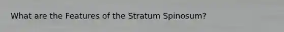 What are the Features of the Stratum Spinosum?