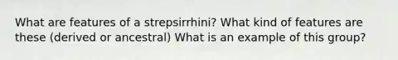 What are features of a strepsirrhini? What kind of features are these (derived or ancestral) What is an example of this group?