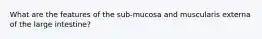 What are the features of the sub-mucosa and muscularis externa of the large intestine?