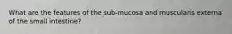 What are the features of the sub-mucosa and muscularis externa of the small intestine?