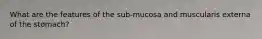 What are the features of the sub-mucosa and muscularis externa of the stomach?