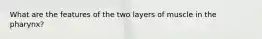 What are the features of the two layers of muscle in the pharynx?