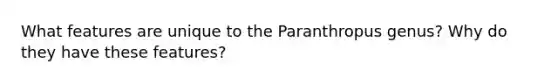 What features are unique to the Paranthropus genus? Why do they have these features?