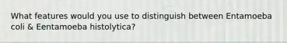 What features would you use to distinguish between Entamoeba coli & Eentamoeba histolytica?