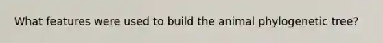 What features were used to build the animal phylogenetic tree?
