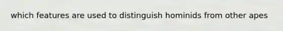 which features are used to distinguish hominids from other apes