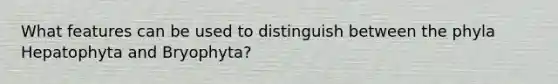 What features can be used to distinguish between the phyla Hepatophyta and Bryophyta?