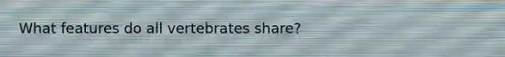 What features do all vertebrates share?