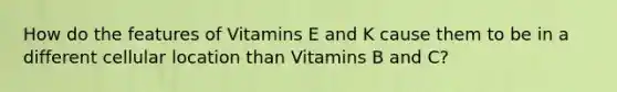 How do the features of Vitamins E and K cause them to be in a different cellular location than Vitamins B and C?